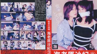 reijyo-0242 魅惑の隷嬢 海老原沙紀3 